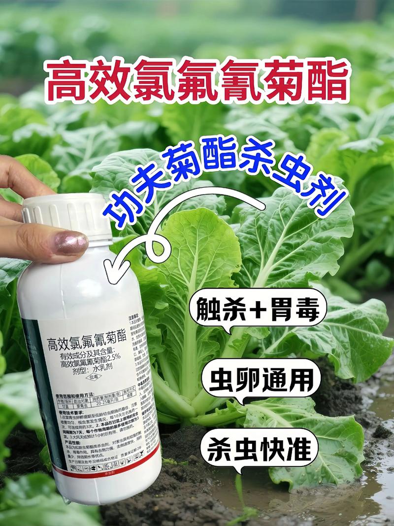 莆田代生中心:农药对供卵代生妈妈的危害